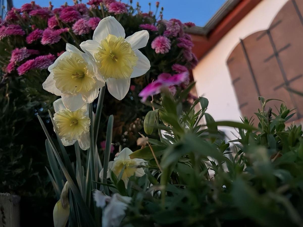 Casa Rural Vistablanca En Una Sola Planta Con Bonitas Vistas Y Piscina - Junto A La Capital Y La Alhambra Cenes De La Vega Extérieur photo